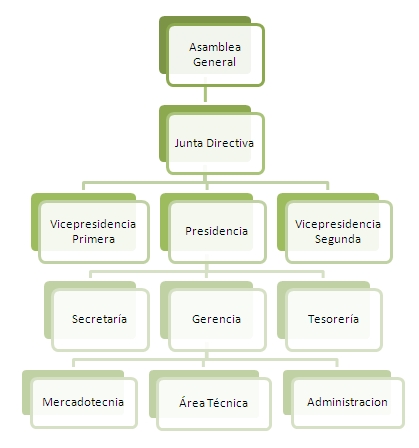 Organigrama Español